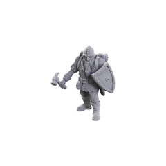 D&D Nolzur's Marvelous Miniatures: Limited Edition 50th Anniversary -  Dwarves