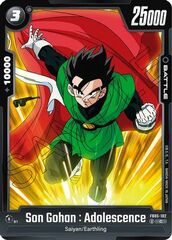 Son Gohan : Adolescence - FB05-102 - C