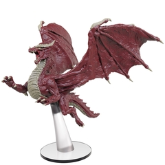 Young Red Dragon
