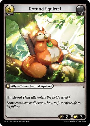 Rotund Squirrel - 61 - C