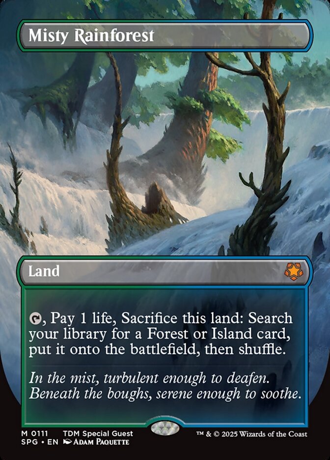 Misty Rainforest - Borderless