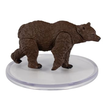 Brown Bear - 27