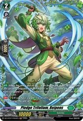 Pledge Trifolium, Reipens - DZ-BT07/FR34EN - FR