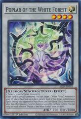 Poplar of the White Forest - ALIN-EN041 - Super Rare - 1st Edition