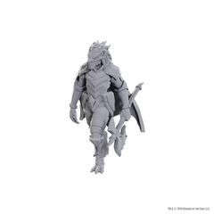 D&D Nolzur's Marvelous Miniatures: Dragonborn of Tiamat (Wave 25)