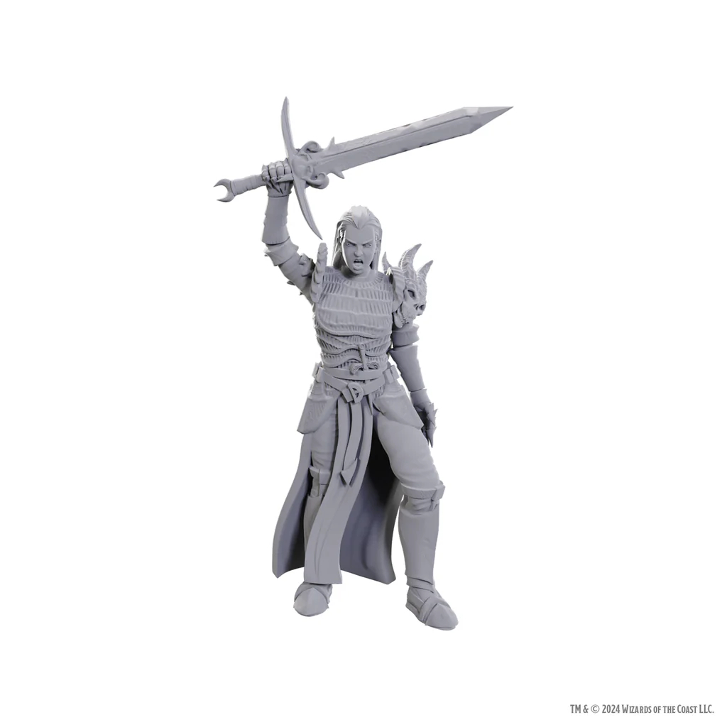 D&D Nolzurs Marvelous Miniatures: Blackguard (Wave 25)