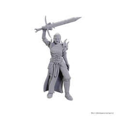 D&D Nolzurs Marvelous Miniatures: Blackguard (Wave 25)