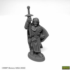 Sir Danarel the Holy