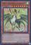 Dragonmaid Lorpar - BLMM-EN061 - Ultra Rare - 1st Edition