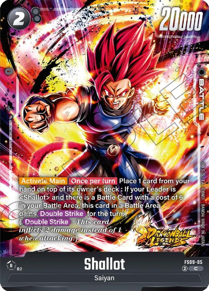 Shallot - FS09-05 - C