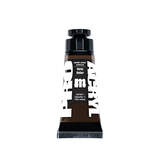 Expert Acrylics 007 - Burnt Umber