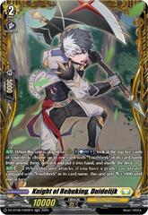 Knight of Precision, Duidelijk - DZ-BT08/FR29EN - FR
