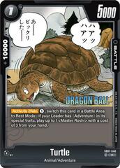 Turtle - SB01-048 - C