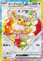 Eevee ex - 224/187 - Special Art Rare