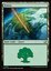 Forest (0276)
