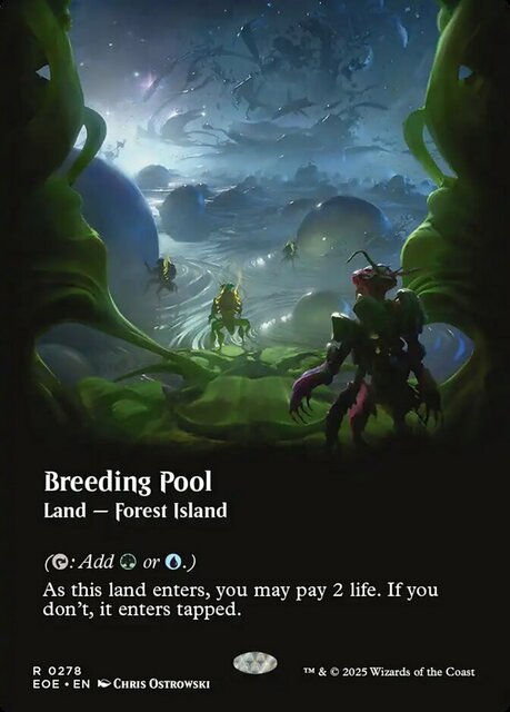 Breeding Pool - Borderless
