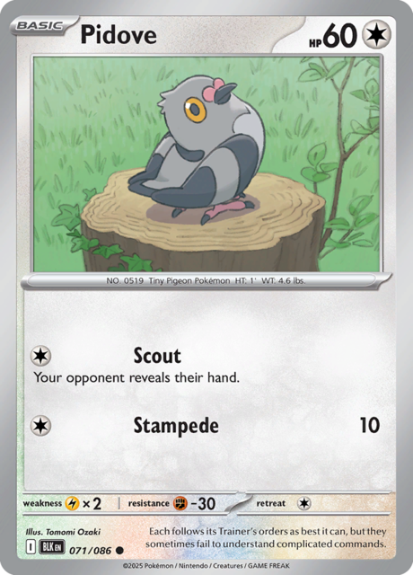 Pidove - 071/086 - Common - Reverse Holo