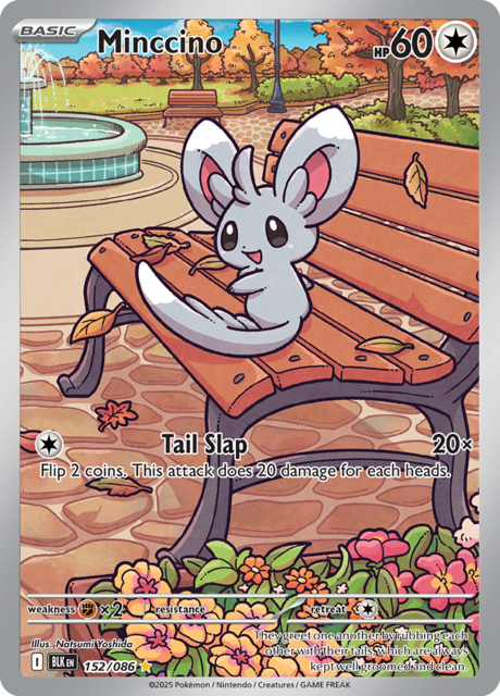 Minccino - 152/086 - Illustration Rare