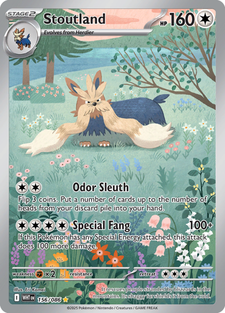 Stoutland - 156/086 - Illustration Rare