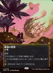 Lotus Field (0068) - Borderless