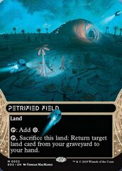Petrified Field (0032) - Borderless