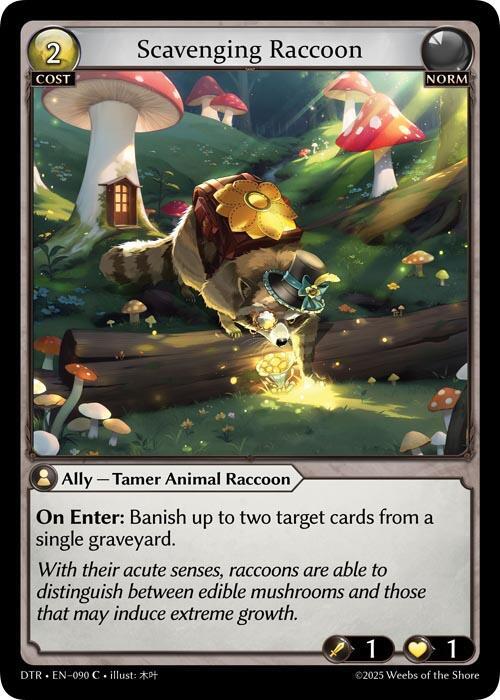 Scavenging Raccoon - 90 - C