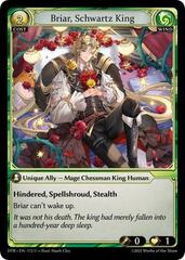 Briar, Schwartz King - 172 - U - Foil
