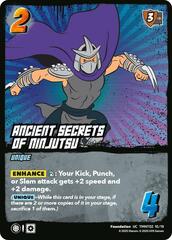 Ancient Secrets of Ninjutsu (TMNT02)