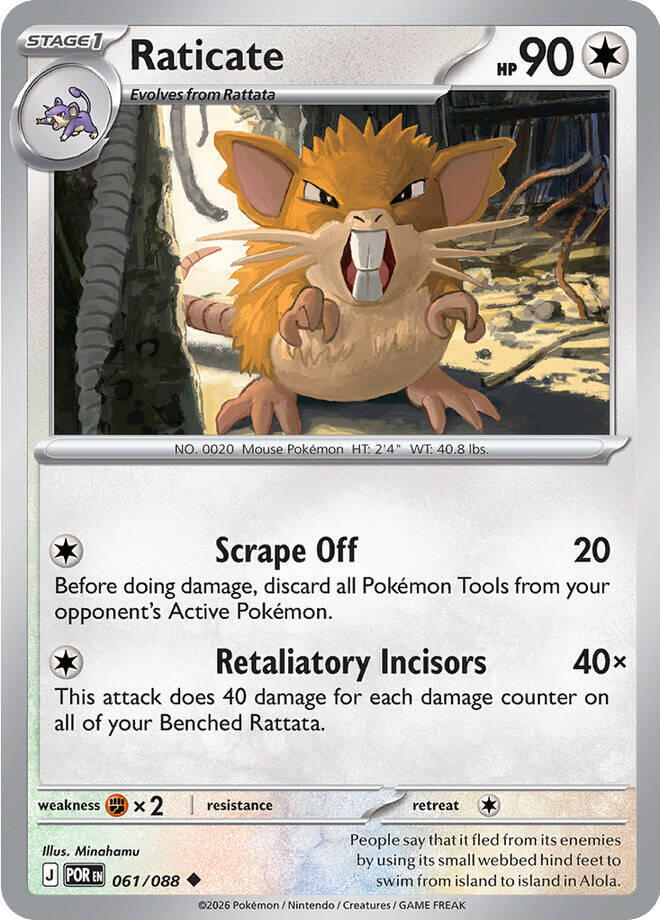 Raticate - 061/088 - Uncommon - Reverse Holo