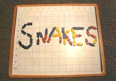 Snakes