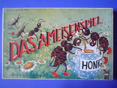 Das Ameisenspiel