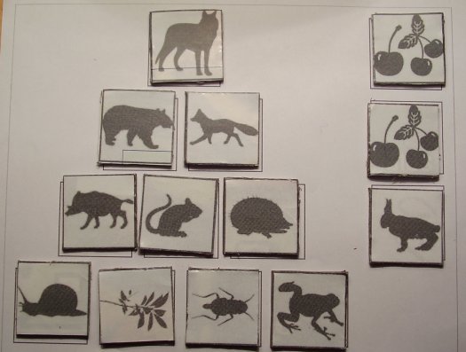 Who eats whom - The food chain boardgame