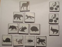Who eats whom - The food chain boardgame