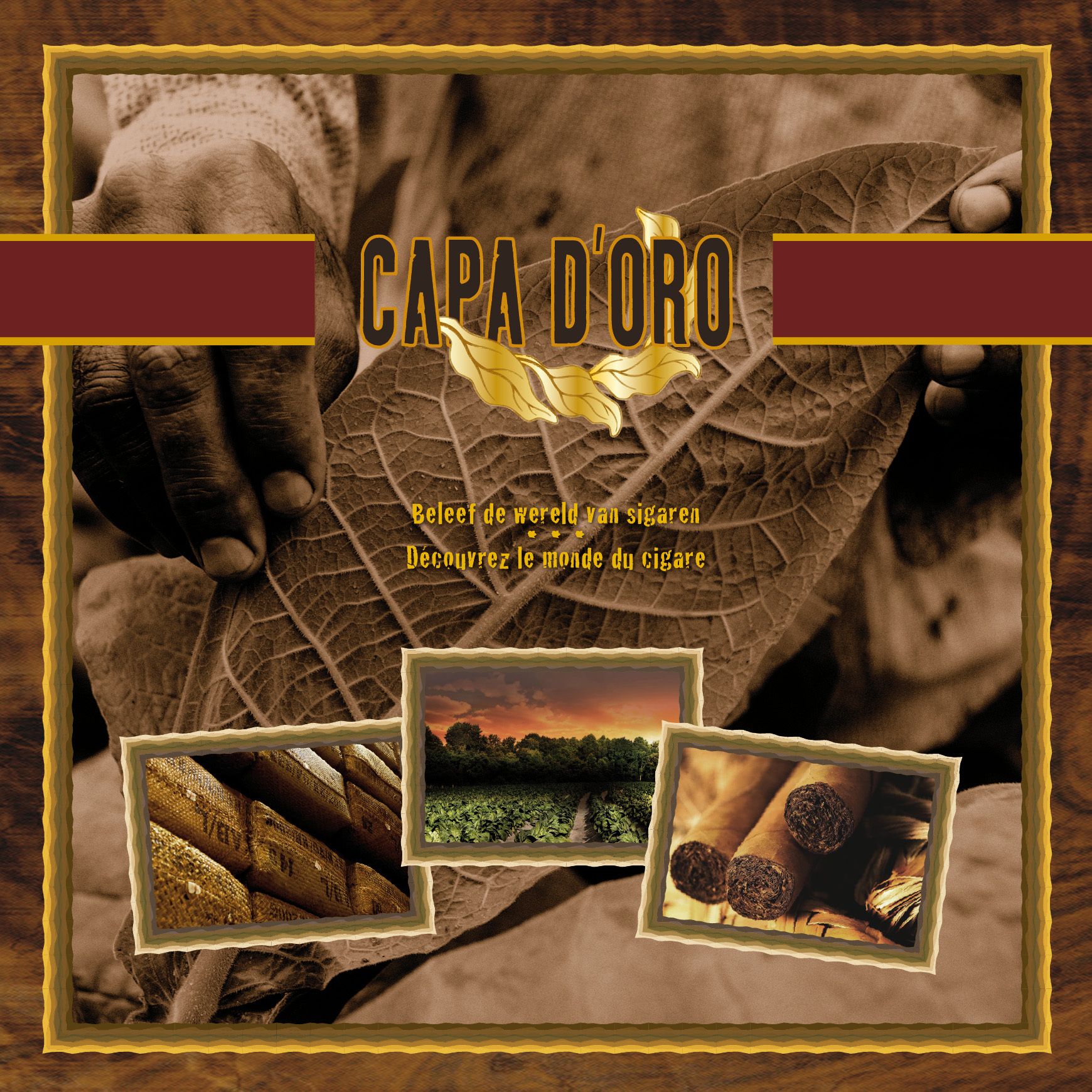 Capa dOro