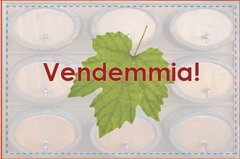 Vendemmia!