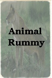 Animal Rummy