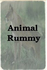Animal Rummy