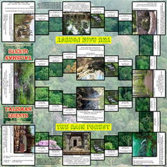 Talisman Quests: The Rainforest