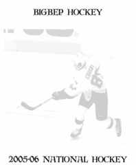 Bigbep Hockey