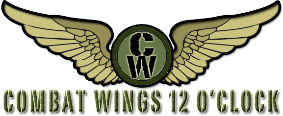 Combat Wings 12 OClock