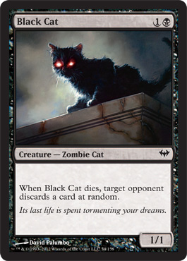 Black Cat