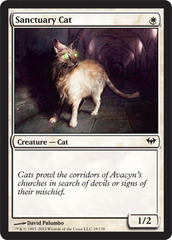 Sanctuary Cat - Foil