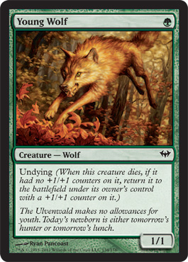 Young Wolf - Foil