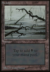 Swamp (Two Branches)