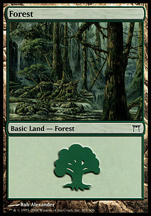 Forest (305)