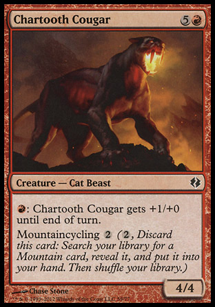 Chartooth Cougar