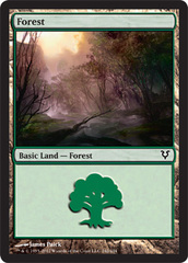 Forest 242/244