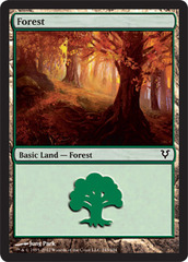 Forest 243/244