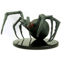 Giant Caveweaver Spider