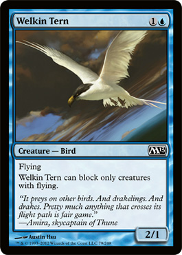 Welkin Tern